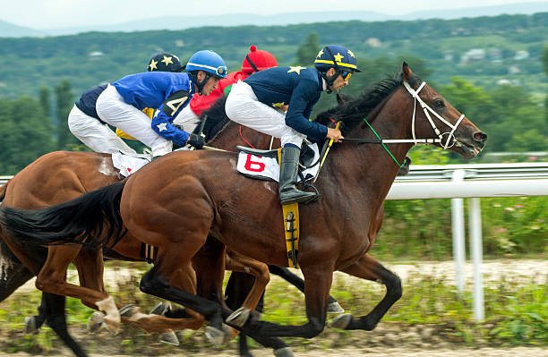 Malaysia CITIbet Online Horse Racing