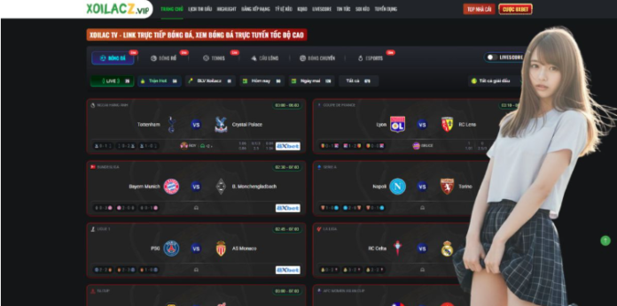 Quality Standards On Bong Da Xoi Lac